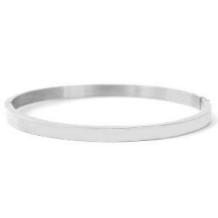 images/productimages/small/bangle-rvs-zilver.jpg