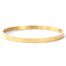 images/productimages/small/rvs-bangle-slavenarmband-goud-small.jpg