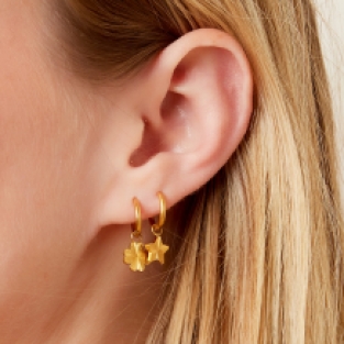 Oorbellen hart goud