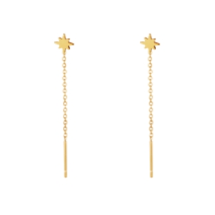Oorhangers goud ster