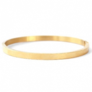 Slavenarmband Bangle RVS Goud small